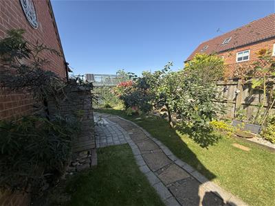 Picture 23